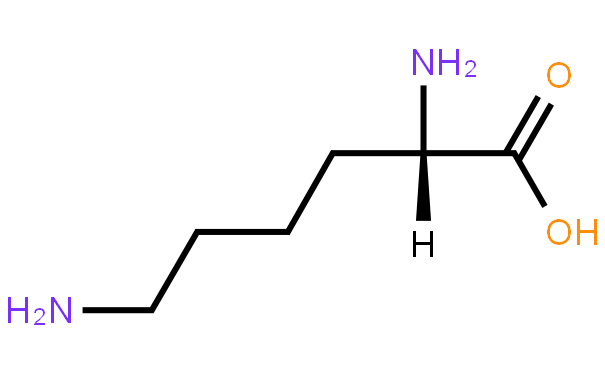 L-ه(li)